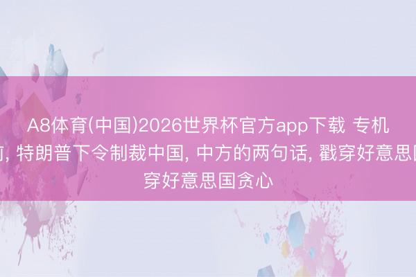 A8体育(中国)2026世界杯官方app下载 专机腾飞前， 特朗普下令制裁中国， 中方的两句话， 戳穿好意思国贪心