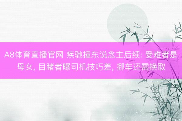 A8体育直播官网 疾驰撞东说念主后续: 受难者是母女， 目睹者曝司机技巧差， 挪车还需换取