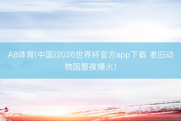 A8体育(中国)2026世界杯官方app下载 老旧动物园整夜爆火！