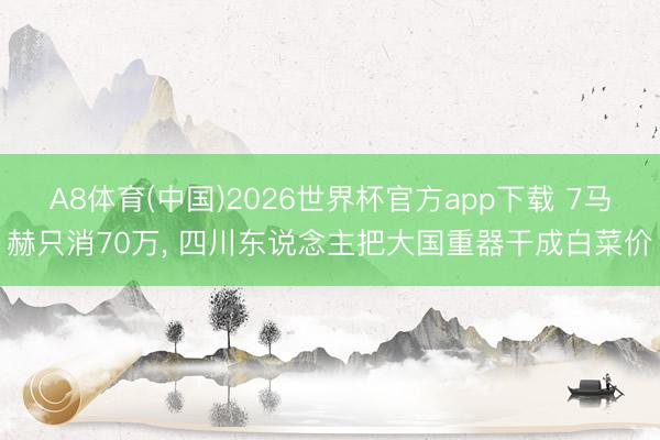 A8体育(中国)2026世界杯官方app下载 7马赫只消70万， 四川东说念主把大国重器干成白菜价