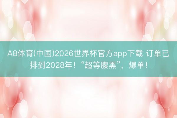 A8体育(中国)2026世界杯官方app下载 订单已排到2028年！“超等腹黑”，爆单！