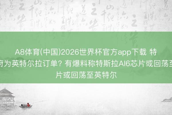 A8体育(中国)2026世界杯官方app下载 特朗普政府为英特尔拉订单? 有爆料称特斯拉AI6芯片或回荡至英特尔