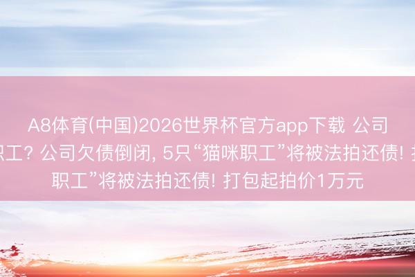 A8体育(中国)2026世界杯官方app下载 公司倒闭， 尽然拍卖职工? 公司欠债倒闭， 5只“猫咪职工”将被法拍还债! 打包起拍价1万元