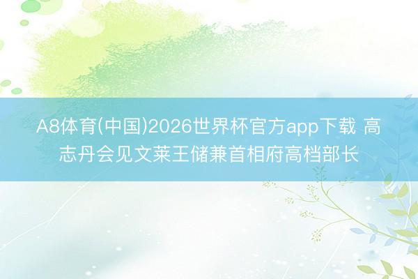 A8体育(中国)2026世界杯官方app下载 高志丹会见文莱王储兼首相府高档部长