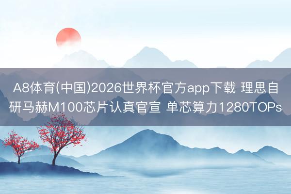 A8体育(中国)2026世界杯官方app下载 理思自研马赫M100芯片认真官宣 单芯算力1280TOPs
