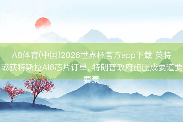 A8体育(中国)2026世界杯官方app下载 英特尔或获特斯拉AI6芯片订单， 特朗普政府施压成要道要素