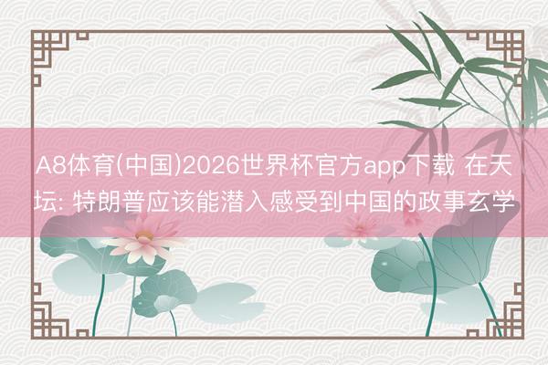 A8体育(中国)2026世界杯官方app下载 在天坛: 特朗普应该能潜入感受到中国的政事玄学
