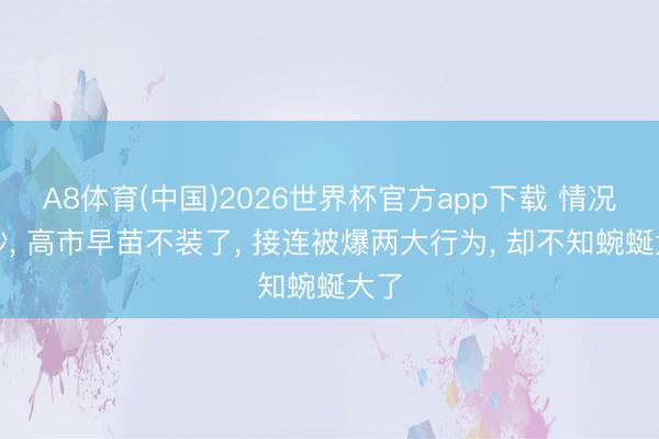 A8体育(中国)2026世界杯官方app下载 情况不妙， 高市早苗不装了， 接连被爆两大行为， 却不知蜿蜒大了