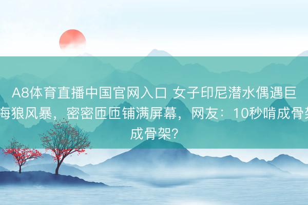 A8体育直播中国官网入口 女子印尼潜水偶遇巨型海狼风暴，密密匝匝铺满屏幕，网友：10秒啃成骨架？