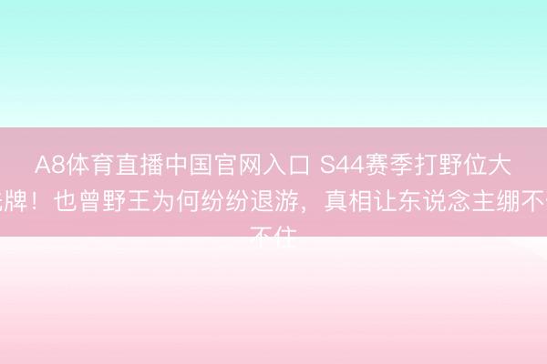 A8体育直播中国官网入口 S44赛季打野位大洗牌！也曾野王为何纷纷退游，真相让东说念主绷不住