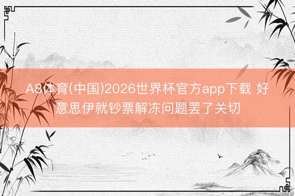 A8体育(中国)2026世界杯官方app下载 好意思伊就钞票解冻问题罢了关切