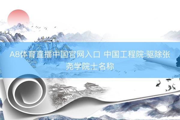 A8体育直播中国官网入口 中国工程院:驱除张尧学院士名称