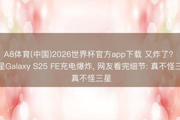 A8体育(中国)2026世界杯官方app下载 又炸了? 三星Galaxy S25 FE充电爆炸， 网友看完细节: 真不怪三星