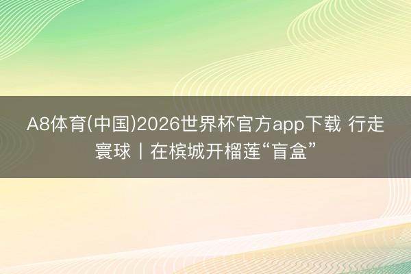 A8体育(中国)2026世界杯官方app下载 行走寰球丨在槟城开榴莲“盲盒”