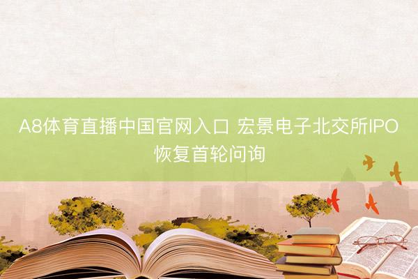 A8体育直播中国官网入口 宏景电子北交所IPO恢复首轮问询