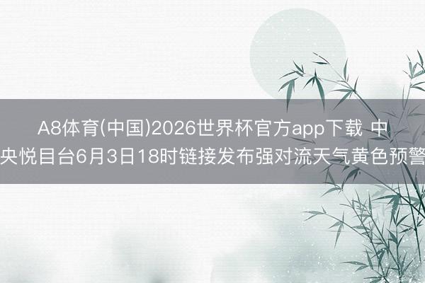 A8体育(中国)2026世界杯官方app下载 中央悦目台6月3日18时链接发布强对流天气黄色预警