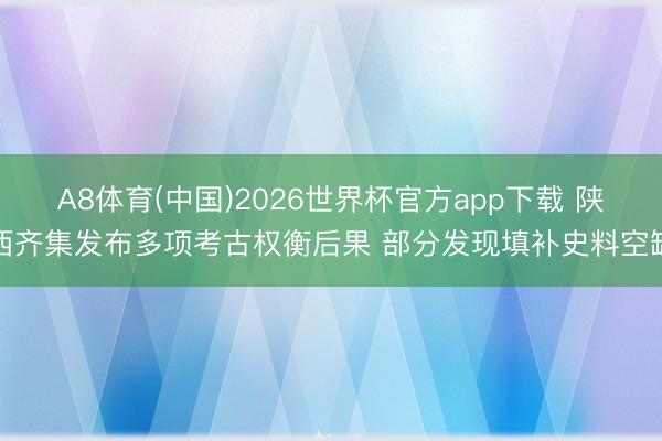 A8体育(中国)2026世界杯官方app下载 陕西齐集发布多项考古权衡后果 部分发现填补史料空缺