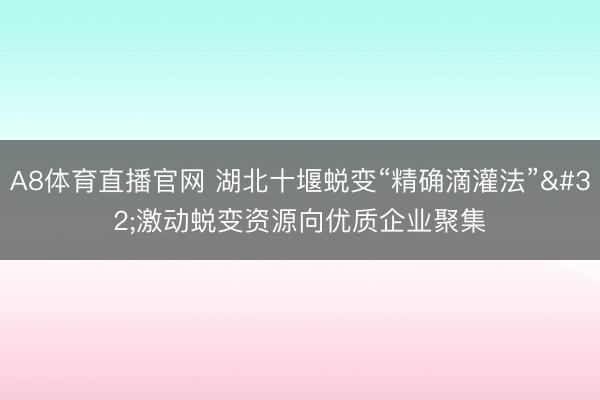 A8体育直播官网 湖北十堰蜕变“精确滴灌法” 激动蜕变资源向优质企业聚集